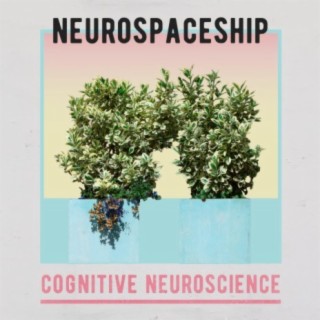 NeuroSpaceship