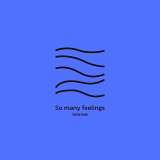 So Many Feelings