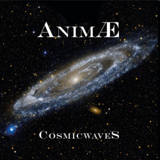 AnimAE