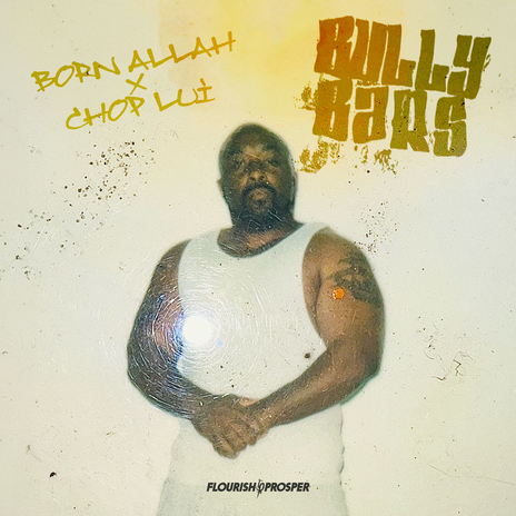 Bully Bars ft. Chop Lui | Boomplay Music