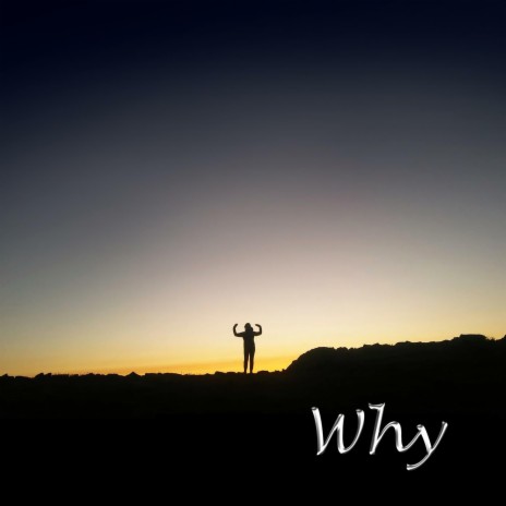 Why (Instrumental) | Boomplay Music