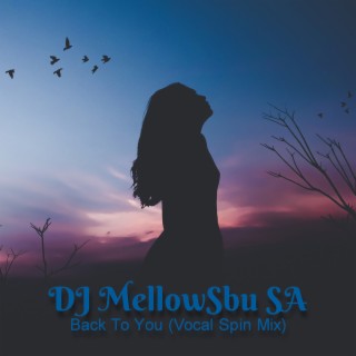 DJ Mellow Sbu SA