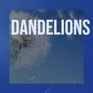 Dandelions