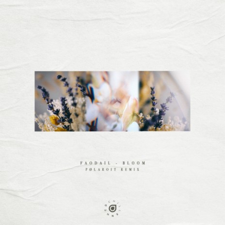 Bloom (pølaroit Remix) | Boomplay Music