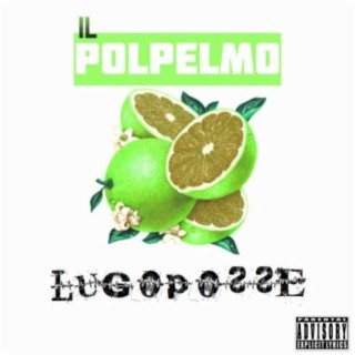 IL PoLpelmo (Radio Edit) lyrics | Boomplay Music