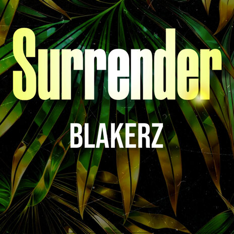 Surrender | Boomplay Music