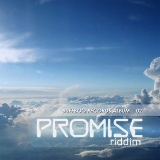 The Promise Riddim
