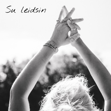 Su leidsin | Boomplay Music