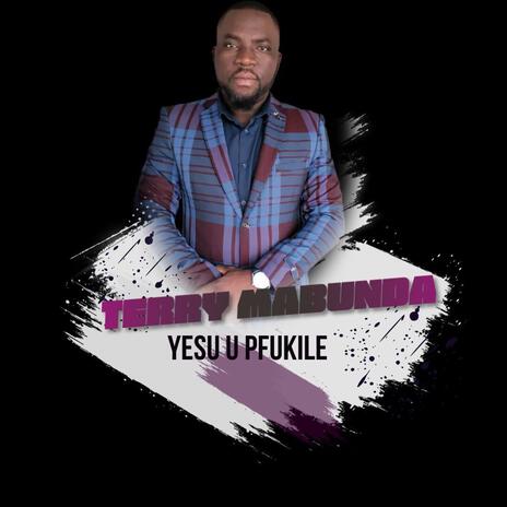 Yesu U Pfukile | Boomplay Music