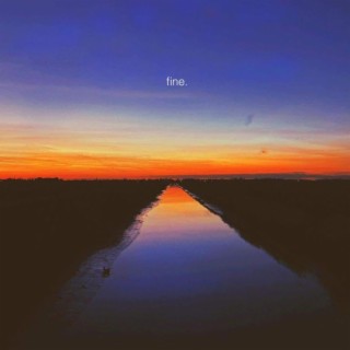 Fine