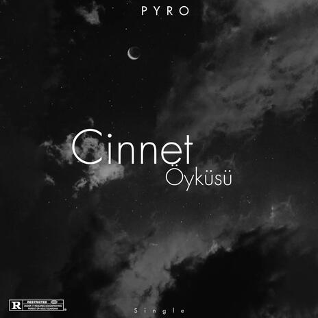 Cinnet Öyküsü | Boomplay Music