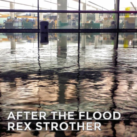 After the Flood | Boomplay Music