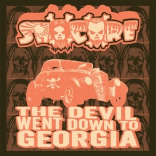 The Devil Went Down to Georgia