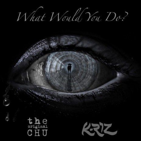 What Would You Do (feat. K-Riz) | Boomplay Music