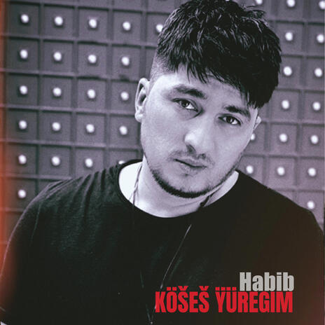 Habib (Kosesh yuregim) | Boomplay Music