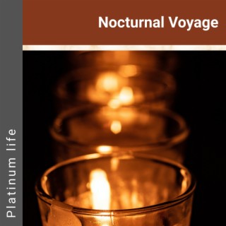 Nocturnal Voyage