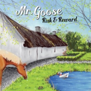Mr. Goose: Risk & Reward