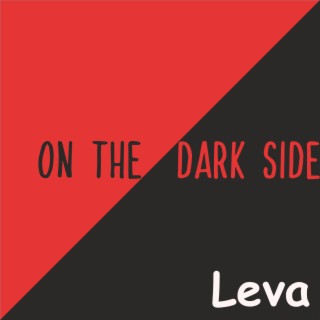 On the Dark Side