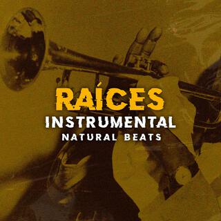 Raíces (Instrumental)