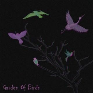 Garden Of Birds