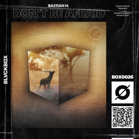 Don't Be Afraid (Extended Mix) | Boomplay Music