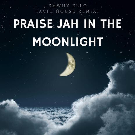 Praise Jah In The Moonlight (Acid House Version) | Boomplay Music