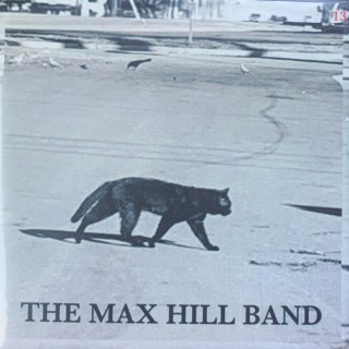 The Max Hill Band