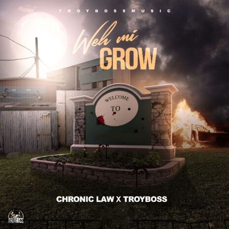 Weh Mi Grow ft. Troyboss | Boomplay Music