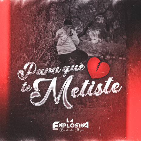 Para Qué Te Metiste | Boomplay Music