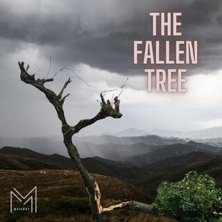 The fallen Tree