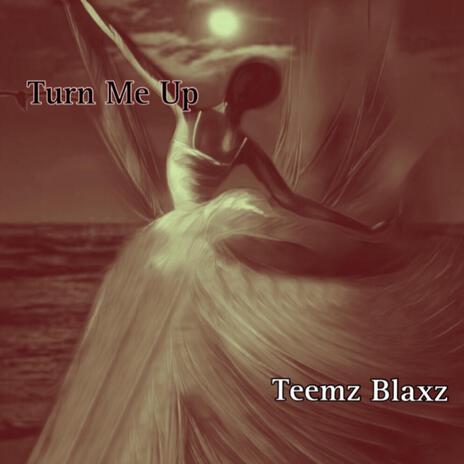 Turn Me Up (feat. Femirams) | Boomplay Music