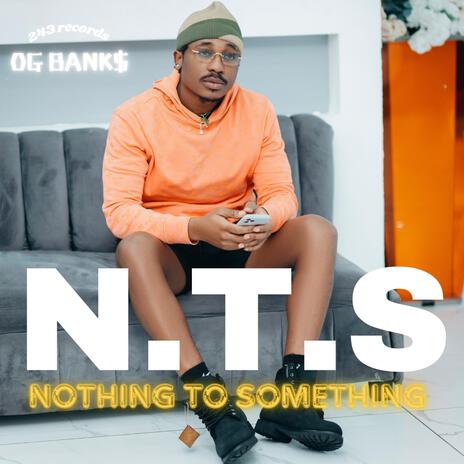 N.T.S (NOTHING TO SOMETHING) | Boomplay Music