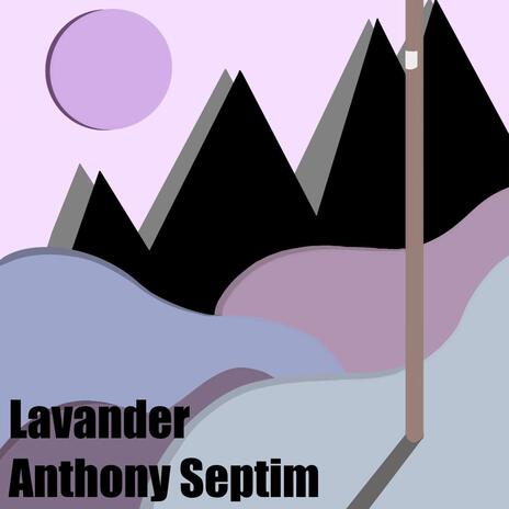 Lavander