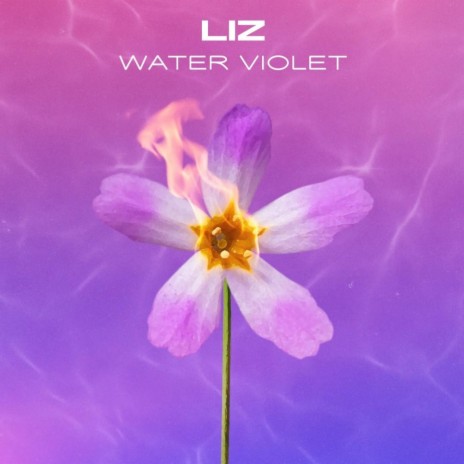 Water Violet (Radio Edit)