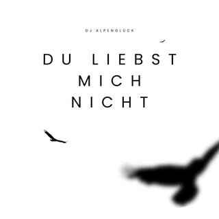 Du liebst mich nicht lyrics | Boomplay Music