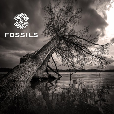 Fossils | Boomplay Music