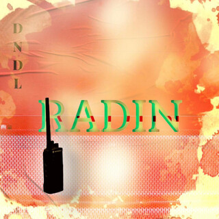 Radin