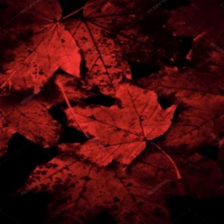 Blood On The Leaves(Freestyle)