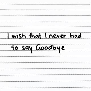 I Wish That I Never Had To Say Goodbye