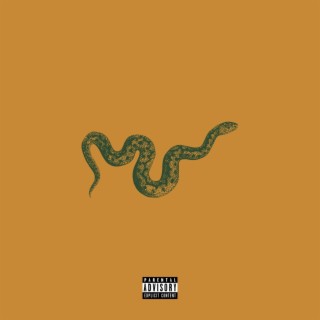 Rattle Snake lyrics | Boomplay Music