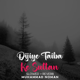 Dijiye Taiba Ke Sultan Lofi