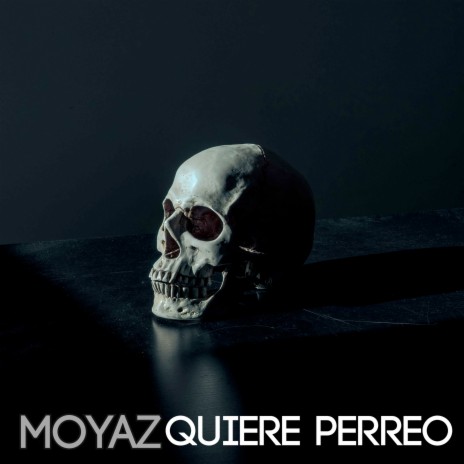 Quiere Perreo | Boomplay Music