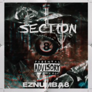 SECTION 8