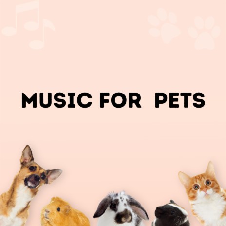 Soft Music For Your Pets