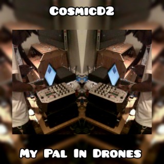 My Pal In Drones