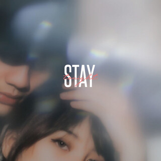 Stay Tonight