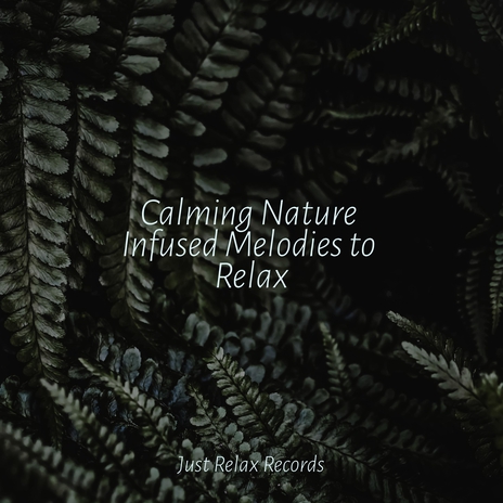 Melodic Resonance Cascade ft. Lounge Music Café & Música ambiental relajante | Boomplay Music