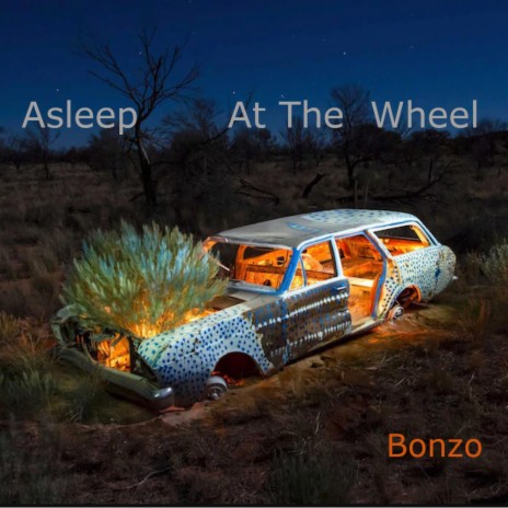 Asleep At The Wheel | Boomplay Music