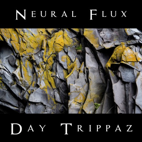 Day Trippaz | Boomplay Music