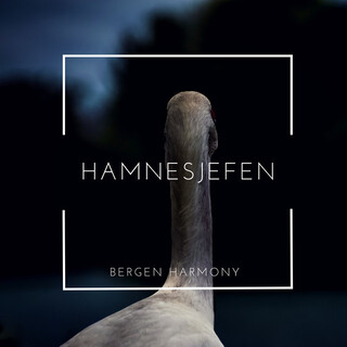 Hamnesjefen